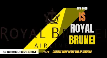 Royal Brunei: An Airline Experience Fit for Royalty