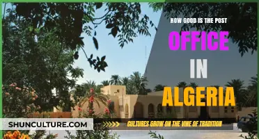 Algeria's Post Office: Efficiency, Reliability, and Public Satisfaction Explored