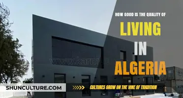 Exploring Algeria's Quality of Life: Comfort, Challenges, and Opportunities