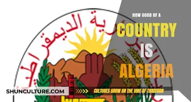 Exploring Algeria's Strengths, Challenges, and Global Standing as a Nation
