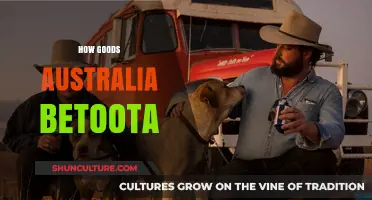 Exploring Australia's Betoota: A Guide to the Goods
