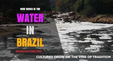 Brazil's Water Quality: Uncovering the Shocking Truth Beneath the Surface
