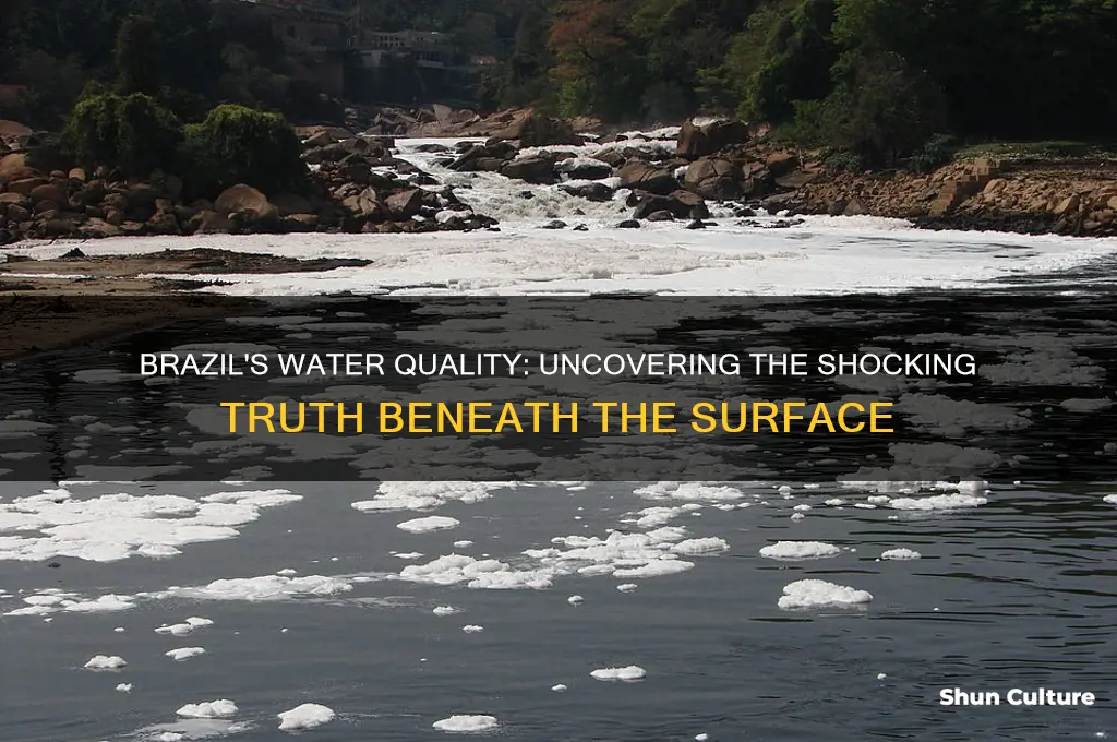 how gross is the water in brazil