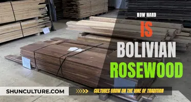 Bolivian Rosewood: A Hardwood of Exceptional Strength and Beauty