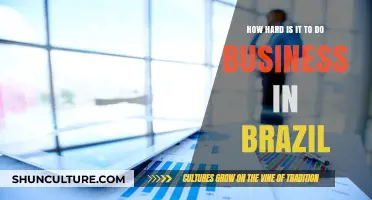 Navigating Brazil's Business Landscape: Challenges and Opportunities Explored