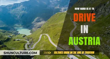 Navigating Austrian Roads: A Beginner's Guide to Driving in the Alps