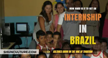 Navigating Brazil's Internship Landscape: Challenges and Opportunities for Applicants