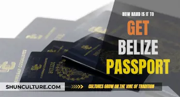 The Challenge of Acquiring a Belizean Passport: Navigating the Complexities