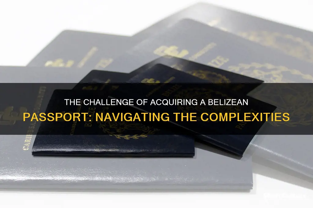 how hard is it to get belize passport