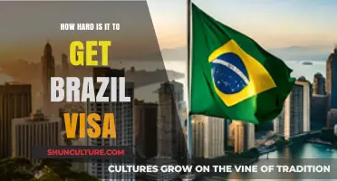 Navigating Brazil Visa Challenges: A Comprehensive Guide for Travelers
