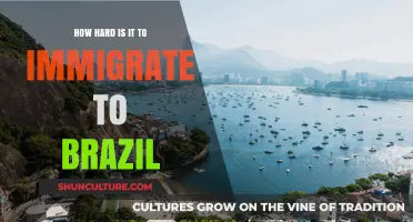 Navigating Brazil's Immigration Process: Challenges and Opportunities Explained