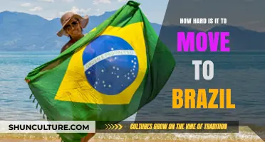 Moving to Brazil: Challenges, Costs, and Cultural Adjustments Explained