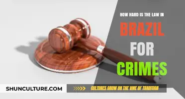 Brazil's Legal System: Navigating Harsh Penalties for Criminal Offenses
