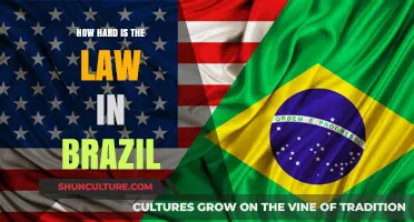 Navigating Brazil's Legal Landscape: Challenges and Complexities Explored