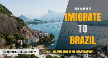 Navigating Brazil's Immigration Process: Challenges and Opportunities Explained