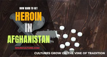 The Dark Side of Afghanistan's Heroin Haven: A Tale of Addiction and Desperation