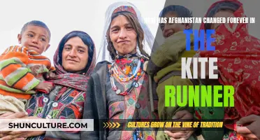 The Lasting Imprint of Turbulent Times in *The Kite Runner*