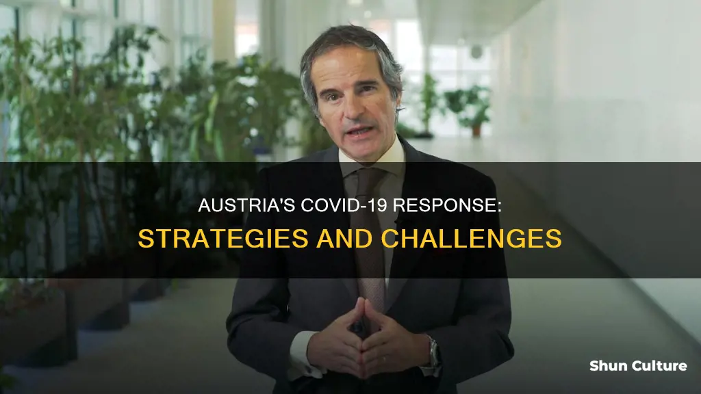 how has austria dealt with coronavirus