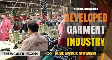 Bangladesh's Garment Industry Evolution: Growth, Challenges, and Global Impact