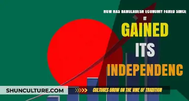 Bangladesh's Economic Journey: Growth and Resilience Post-Independence