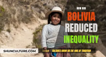 Bolivia's Fight Against Inequality: Strategies and Successes