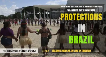 Bolsonaro's Brazil: Eroding Environmental Safeguards and Their Impact