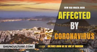 Brazil's Battle: COVID-19's Impact on Health, Economy, and Society