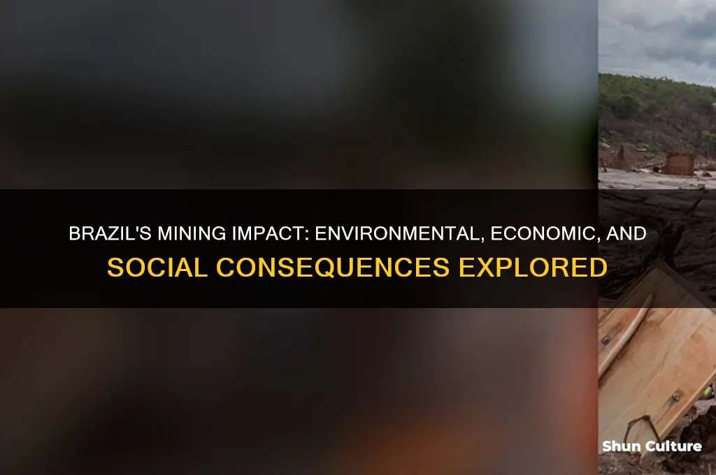 how has brazil been affected by mining