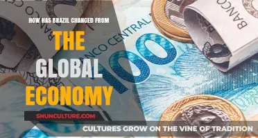 Brazil's Economic Evolution: Adapting to Global Market Shifts and Trends