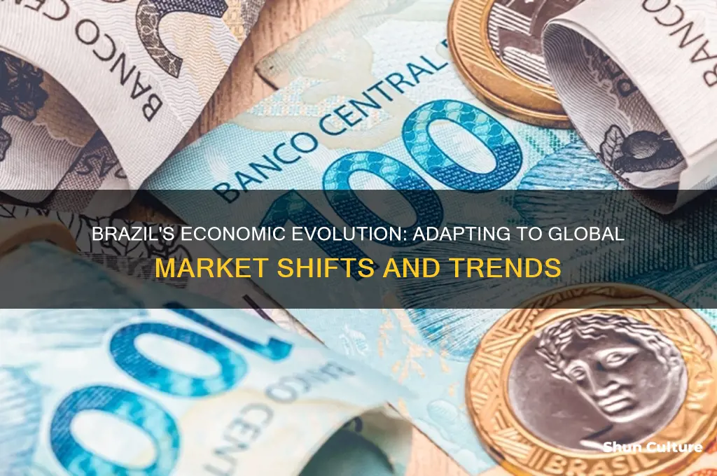 how has brazil changed from the global economy
