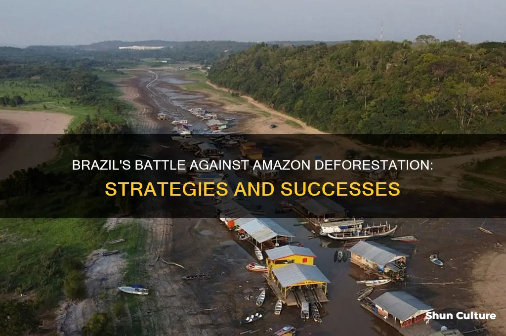 how has brazil controlled amazon deforestation