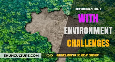 Brazil's Environmental Battle: Strategies, Challenges, and Progress