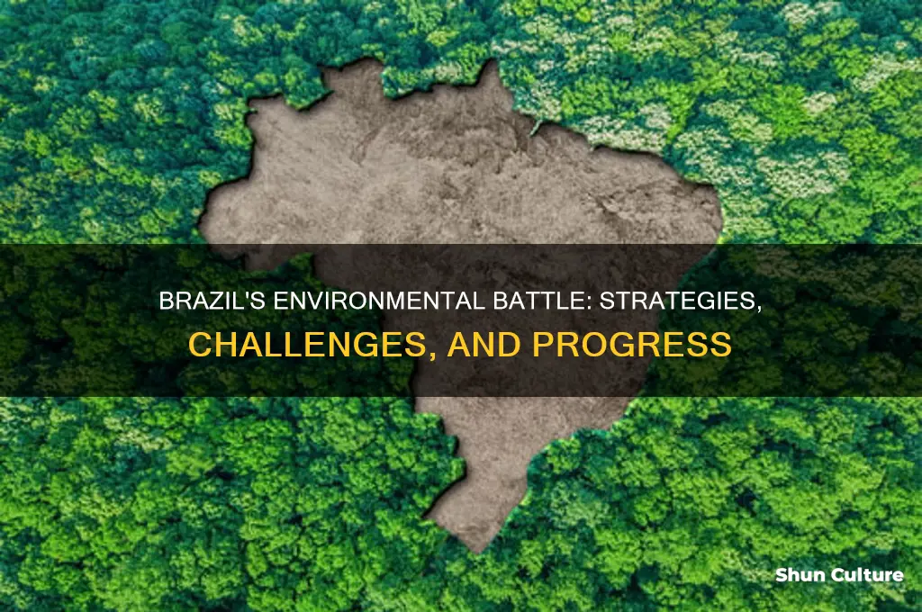 how has brazil dealt with environmental challenges