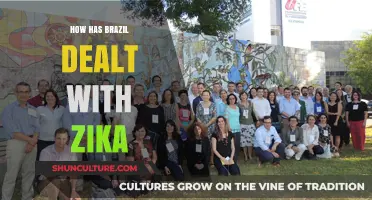 Brazil's Battle Against Zika: Strategies, Challenges, and Public Health Response