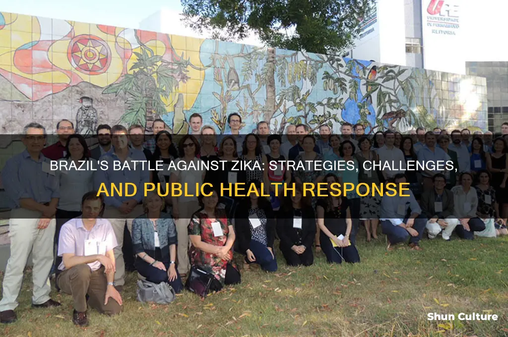 how has brazil dealt with zika