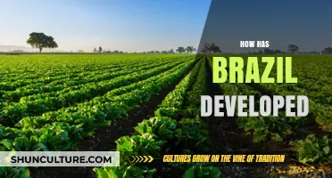 Brazil's Economic and Social Transformation: A Journey of Development