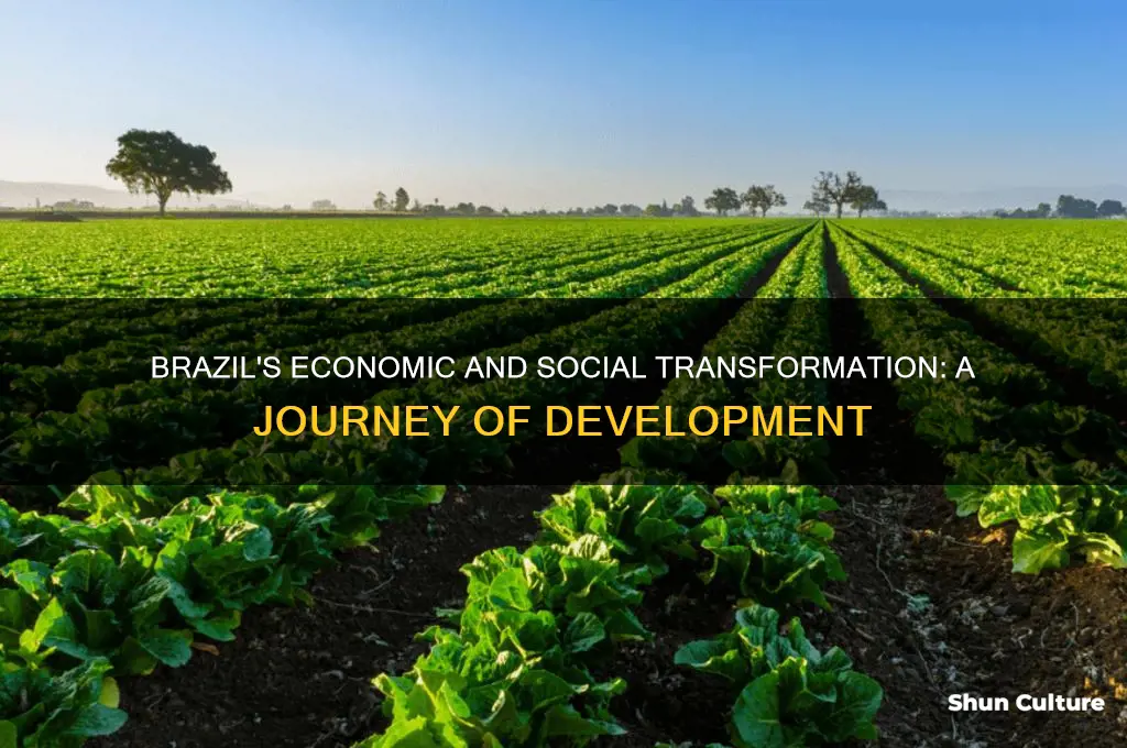 how has brazil developed
