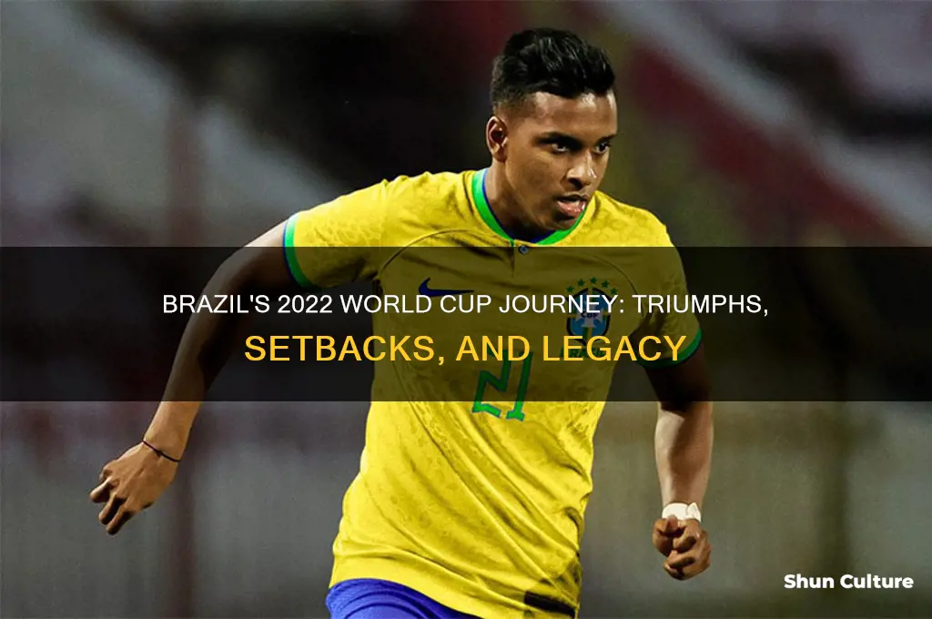 how has brazil done in world cup this year