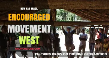 Brazil's Westward Expansion: Policies and Incentives Driving Migration