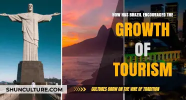 Brazil's Tourism Boom: Strategies and Success Stories Unveiled