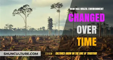 Brazil's Environmental Evolution: A Historical Overview of Changing Landscapes