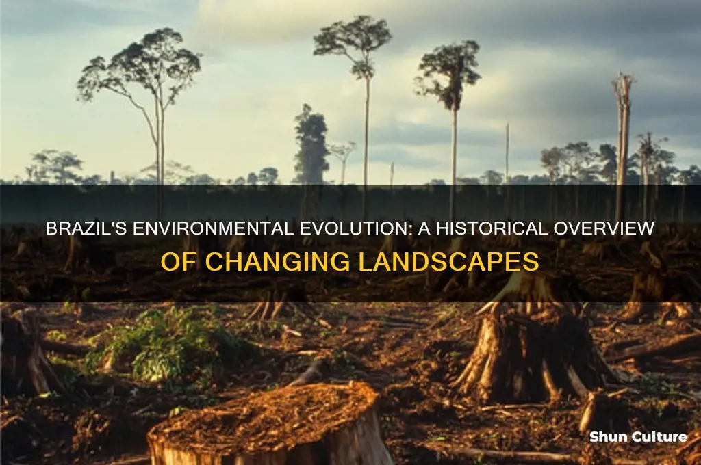 how has brazil environment changed over time
