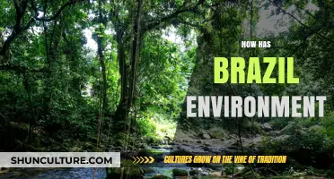 Brazil's Environment: Challenges, Conservation Efforts, and Future Sustainability