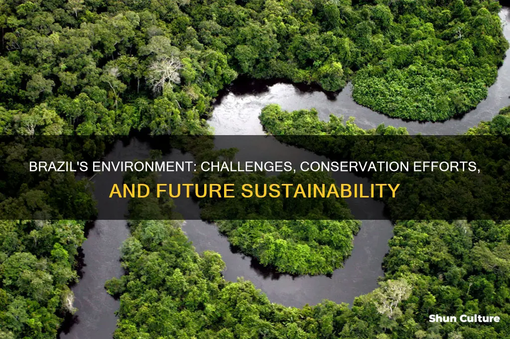 how has brazil environment