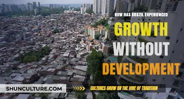 Brazil's Paradox: Economic Growth Without Inclusive Development Explained