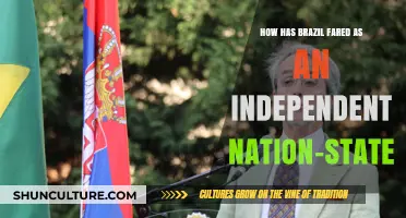 Brazil's Independence Journey: Challenges, Achievements, and Global Standing