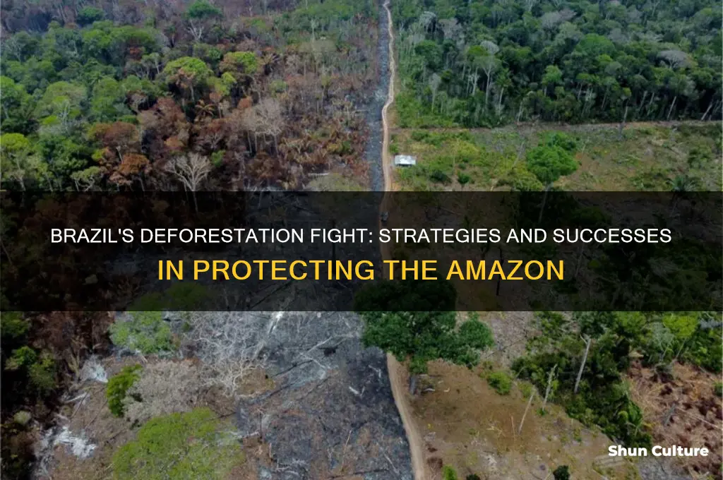 how has brazil mitigated its deforestation problem