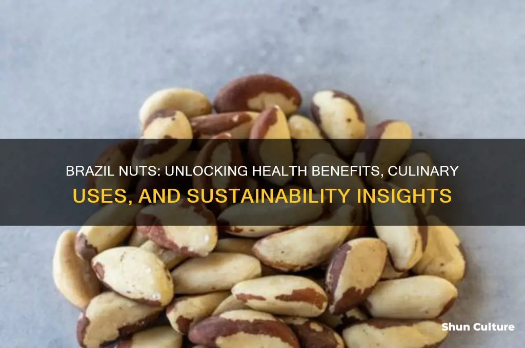 how has brazil nuts
