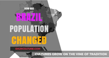 Brazil's Population Evolution: Trends, Growth, and Demographic Shifts Over Time