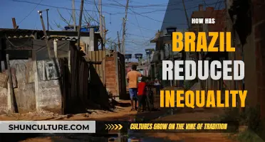 Brazil's Path to Reducing Inequality: Policies, Progress, and Lessons Learned